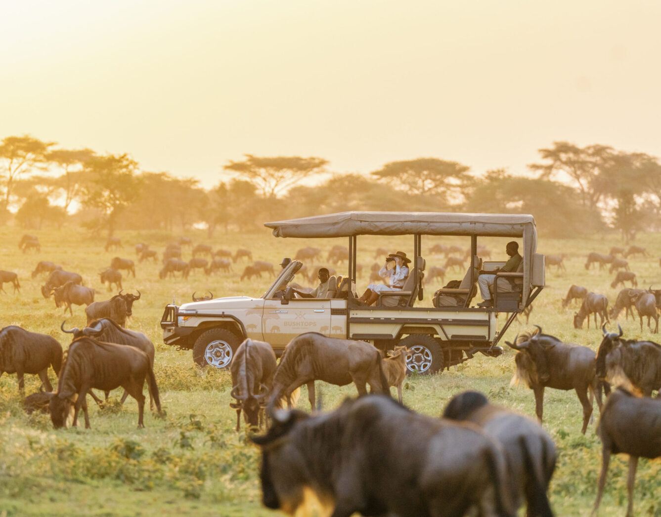 Private Game Drives